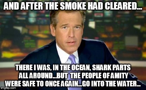 Brian Williams Was There Meme | AND AFTER THE SMOKE HAD CLEARED... THERE I WAS, IN THE OCEAN, SHARK PARTS ALL AROUND...BUT  THE PEOPLE OF AMITY WERE SAFE TO ONCE AGAIN...GO | image tagged in brian williams | made w/ Imgflip meme maker