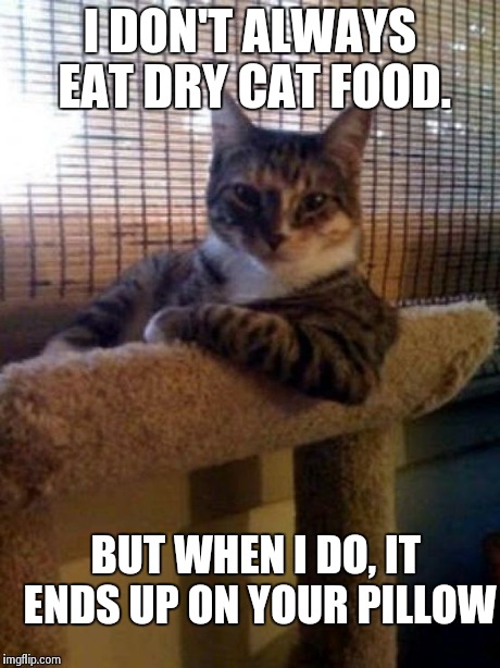 The Most Interesting Cat In The World | I DON'T ALWAYS EAT DRY CAT FOOD. BUT WHEN I DO, IT ENDS UP ON YOUR PILLOW | image tagged in memes,the most interesting cat in the world | made w/ Imgflip meme maker