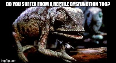 Lizard | DO YOU SUFFER FROM A REPTILE DYSFUNCTION TOO? | image tagged in lizard | made w/ Imgflip meme maker