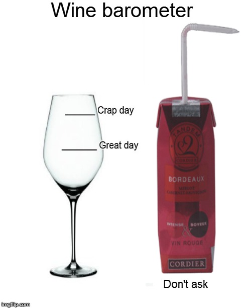 How was your day sweetie? | Wine barometer Don't ask | image tagged in wine,funny meme | made w/ Imgflip meme maker