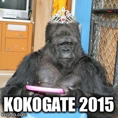 KOKOGATE 2015 | image tagged in funny | made w/ Imgflip meme maker