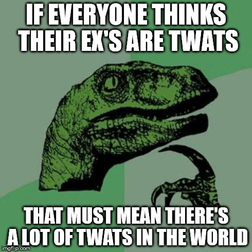 Philosoraptor | IF EVERYONE THINKS THEIR EX'S ARE TWATS THAT MUST MEAN THERE'S A LOT OF TWATS IN THE WORLD | image tagged in memes,philosoraptor | made w/ Imgflip meme maker