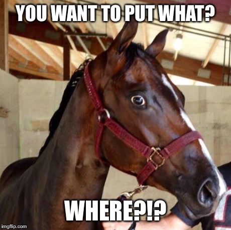 YOU WANT TO PUT WHAT? WHERE?!? | image tagged in surprised racehorse | made w/ Imgflip meme maker