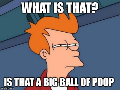 Futurama Fry | WHAT IS THAT? IS THAT A BIG BALL OF POOP | image tagged in memes,futurama fry | made w/ Imgflip meme maker