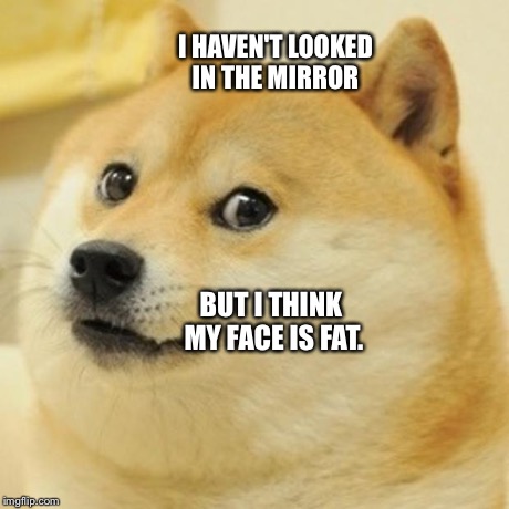 Doge | I HAVEN'T LOOKED IN THE MIRROR BUT I THINK MY FACE IS FAT. | image tagged in memes,doge | made w/ Imgflip meme maker