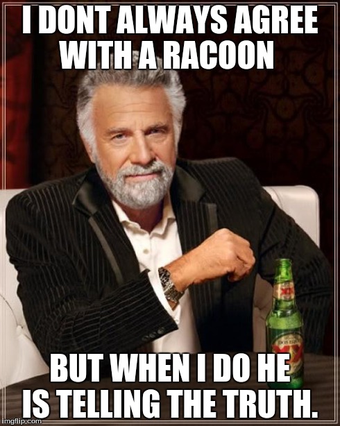 The Most Interesting Man In The World Meme | I DONT ALWAYS AGREE WITH A RACOON BUT WHEN I DO HE IS TELLING THE TRUTH. | image tagged in memes,the most interesting man in the world | made w/ Imgflip meme maker