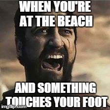 Confused Screaming | WHEN YOU'RE AT THE BEACH AND SOMETHING TOUCHES YOUR FOOT | image tagged in confused screaming | made w/ Imgflip meme maker