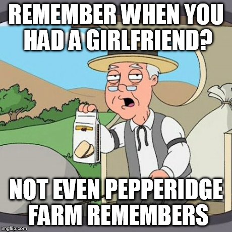Pepperidge Farm Remembers Meme | REMEMBER WHEN YOU HAD A GIRLFRIEND? NOT EVEN PEPPERIDGE FARM REMEMBERS | image tagged in memes,pepperidge farm remembers | made w/ Imgflip meme maker