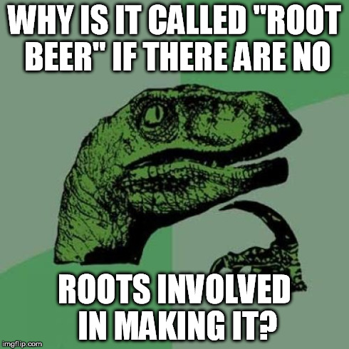 Philosoraptor Meme | WHY IS IT CALLED "ROOT BEER" IF THERE ARE NO ROOTS INVOLVED IN MAKING IT? | image tagged in memes,philosoraptor | made w/ Imgflip meme maker