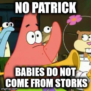 Babies Do Not Come From Storks | NO PATRICK BABIES DO NOT COME FROM STORKS | image tagged in memes,spongebob,no patrick,patrick | made w/ Imgflip meme maker
