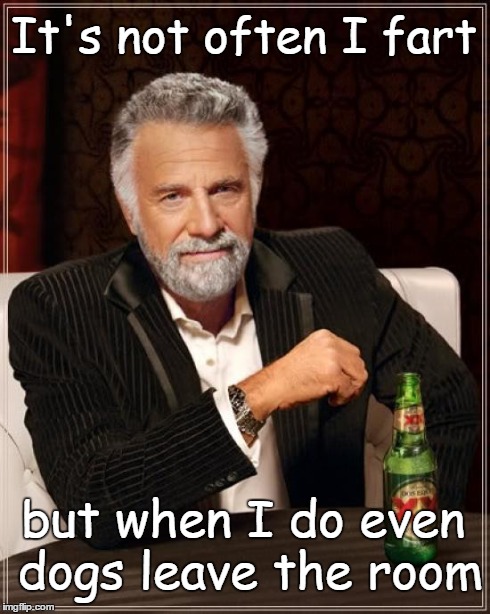 The Most Interesting Man In The World | It's not often I fart but when I do even dogs leave the room | image tagged in memes,the most interesting man in the world | made w/ Imgflip meme maker
