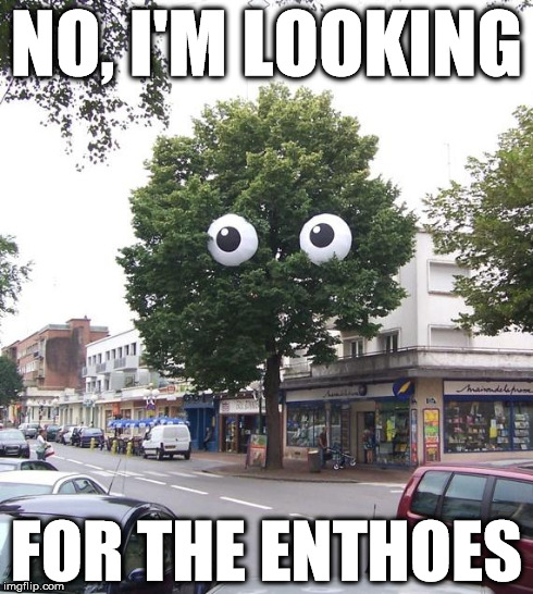 Unpoplar Tree | NO, I'M LOOKING FOR THE ENTHOES | image tagged in unpoplar tree,lord of the rings,eyes | made w/ Imgflip meme maker