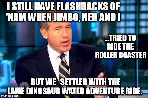 Flashbacks of 'Nam  - Badass Rollercoaster  | I STILL HAVE FLASHBACKS OF 'NAM WHEN JIMBO, NED AND I BUT WE 
 SETTLED WITH THE LAME DINOSAUR WATER ADVENTURE RIDE. ...TRIED TO RIDE THE  RO | image tagged in brian williams was there,meme,memes | made w/ Imgflip meme maker