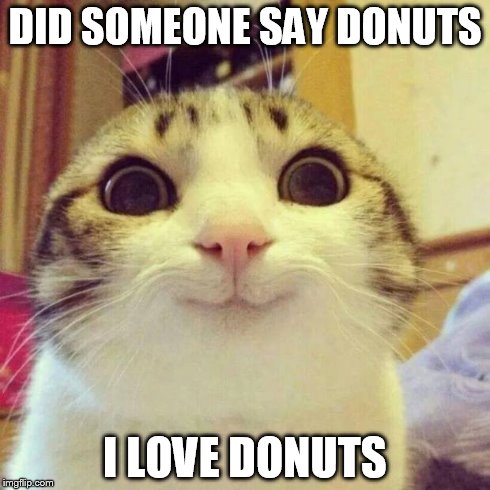 Smiling Cat Meme | DID SOMEONE SAY DONUTS I LOVE DONUTS | image tagged in smiling cat | made w/ Imgflip meme maker