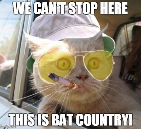 BAT COUNTRY | WE CAN'T STOP HERE THIS IS BAT COUNTRY! | image tagged in memes,fear and loathing cat,cats,funny,quotes | made w/ Imgflip meme maker