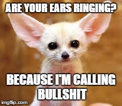 ARE YOUR EARS RINGING? BECAUSE I'M CALLING BULLSHIT | image tagged in bullshit | made w/ Imgflip meme maker