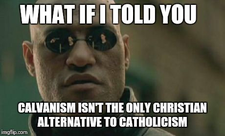 Matrix Morpheus | WHAT IF I TOLD YOU CALVANISM ISN'T THE ONLY CHRISTIAN ALTERNATIVE TO CATHOLICISM | image tagged in memes,matrix morpheus | made w/ Imgflip meme maker