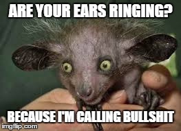 ARE YOUR EARS RINGING? BECAUSE I'M CALLING BULLSHIT | image tagged in ears,ringing,are your ears ringing | made w/ Imgflip meme maker