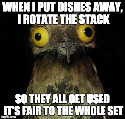Owly | WHEN I PUT DISHES AWAY, I ROTATE THE STACK SO THEY ALL GET USED IT'S FAIR TO THE WHOLE SET | image tagged in owly,AdviceAnimals | made w/ Imgflip meme maker