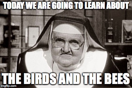 Frowning Nun | TODAY WE ARE GOING TO LEARN ABOUT THE BIRDS AND THE BEES | image tagged in memes,frowning nun | made w/ Imgflip meme maker