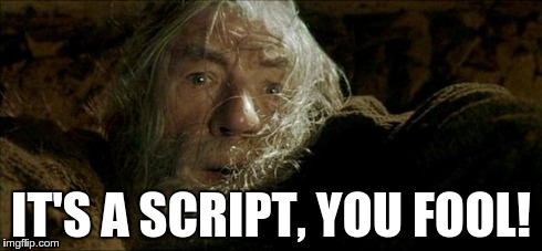 IT'S A SCRIPT, YOU FOOL! | image tagged in  gandalf fly you fools | made w/ Imgflip meme maker