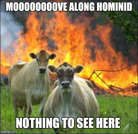 Evil Cows Meme | MOOOOOOOOVE ALONG HOMINID NOTHING TO SEE HERE | image tagged in memes,evil cows | made w/ Imgflip meme maker