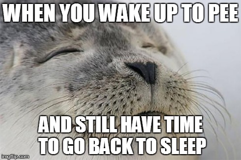 Satisfied Seal Meme | WHEN YOU WAKE UP TO PEE AND STILL HAVE TIME TO GO BACK TO SLEEP | image tagged in memes,satisfied seal | made w/ Imgflip meme maker