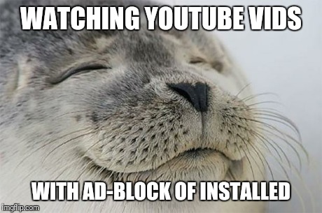 Satisfied Seal | WATCHING YOUTUBE VIDS WITH AD-BLOCK OF INSTALLED | image tagged in memes,satisfied seal | made w/ Imgflip meme maker