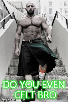 DO YOU EVEN CELT BRO | image tagged in memes | made w/ Imgflip meme maker