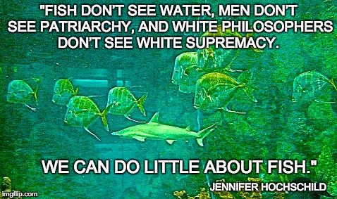 Fish, water, patriarchy, white supremacy - Imgflip