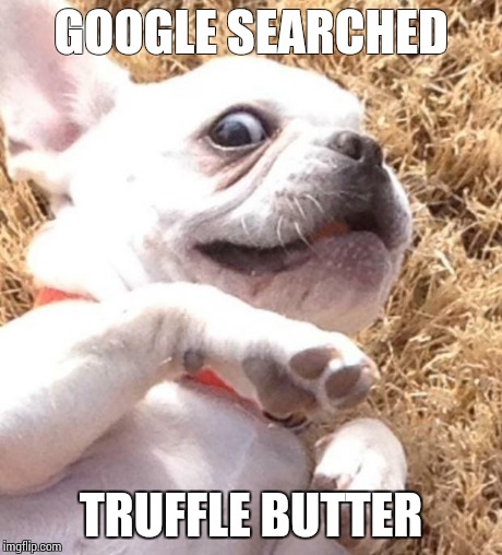 Horrified Frenchie | GOOGLE SEARCHED TRUFFLE BUTTER | image tagged in omg,frenchie,horrified,truffle butter | made w/ Imgflip meme maker