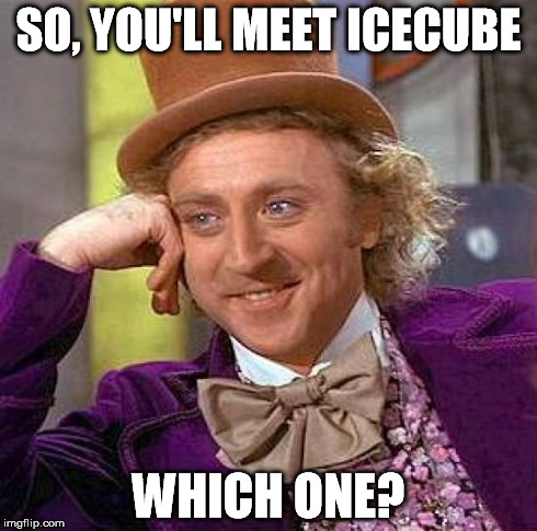 Creepy Condescending Wonka Meme | SO, YOU'LL MEET ICECUBE WHICH ONE? | image tagged in memes,creepy condescending wonka | made w/ Imgflip meme maker