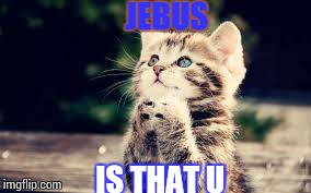 JEBUS IS THAT U | image tagged in cat | made w/ Imgflip meme maker