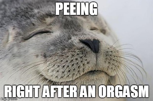 Satisfied Seal | PEEING RIGHT AFTER AN ORGASM | image tagged in memes,satisfied seal,AdviceAnimals | made w/ Imgflip meme maker