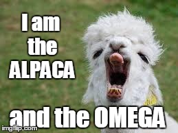 I am the ALPACA and the OMEGA | image tagged in alpacaomega | made w/ Imgflip meme maker