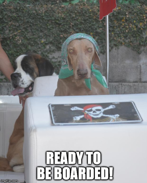 READY TO BE BOARDED! | image tagged in pirates | made w/ Imgflip meme maker