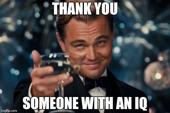 Leonardo Dicaprio Cheers Meme | THANK YOU SOMEONE WITH AN IQ | image tagged in memes,leonardo dicaprio cheers | made w/ Imgflip meme maker