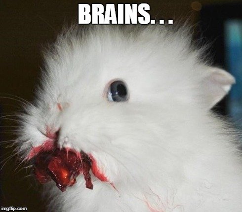 Cutest Zombie Bunny Evar! | BRAINS. . . | image tagged in bloody,bunny,zombie,cute | made w/ Imgflip meme maker