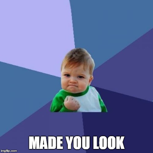 Success Kid Meme | MADE YOU LOOK | image tagged in memes,success kid | made w/ Imgflip meme maker