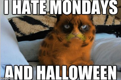 Grumpy Garfield | image tagged in grumpy cat,no,memes | made w/ Imgflip meme maker