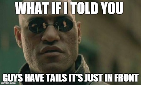 Matrix Morpheus Meme | WHAT IF I TOLD YOU GUYS HAVE TAILS IT'S JUST IN FRONT | image tagged in memes,matrix morpheus | made w/ Imgflip meme maker