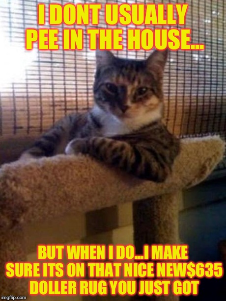 The Most Interesting Cat In The World | I DONT USUALLY PEE IN THE HOUSE... BUT WHEN I DO...I MAKE SURE ITS ON THAT NICE NEW$635 DOLLER RUG YOU JUST GOT | image tagged in memes,the most interesting cat in the world | made w/ Imgflip meme maker