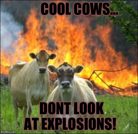 Evil Cows | COOL COWS... DONT LOOK AT EXPLOSIONS! | image tagged in memes,evil cows | made w/ Imgflip meme maker