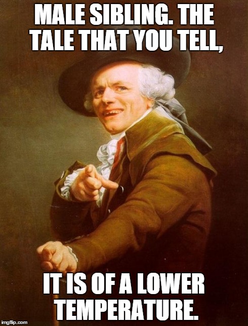 Joseph Ducreux | MALE SIBLING. THE TALE THAT YOU TELL, IT IS OF A LOWER TEMPERATURE. | image tagged in memes,joseph ducreux | made w/ Imgflip meme maker