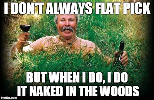I DON'T ALWAYS FLAT PICK BUT WHEN I DO, I DO IT NAKED IN THE WOODS | made w/ Imgflip meme maker