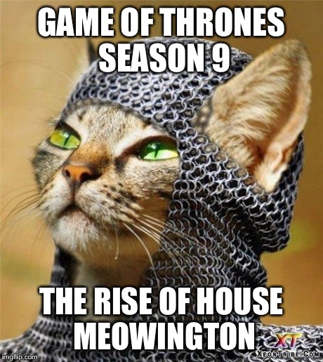 House Meowington shall Prevail ! | GAME OF THRONES SEASON 9 THE RISE OF HOUSE MEOWINGTON | image tagged in kitty knight,kitten,kitty,funny,meme,memes | made w/ Imgflip meme maker