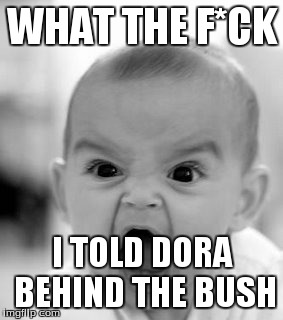 Angry Baby | WHAT THE F*CK I TOLD DORA BEHIND THE BUSH | image tagged in memes,angry baby | made w/ Imgflip meme maker