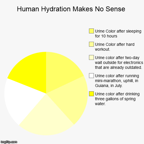 image tagged in funny,pie charts,pee | made w/ Imgflip chart maker