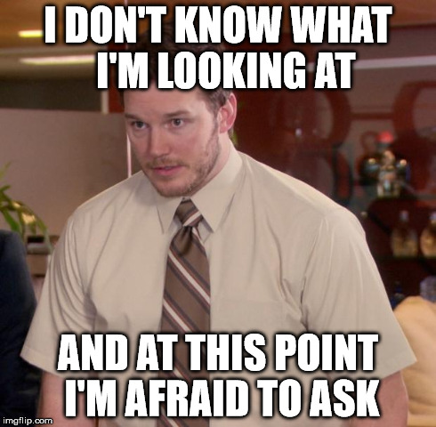 Afraid To Ask Andy Meme | I DON'T KNOW WHAT  I'M LOOKING AT AND AT THIS POINT I'M AFRAID TO ASK | image tagged in memes,afraid to ask andy | made w/ Imgflip meme maker