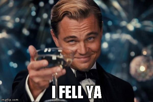 Leonardo Dicaprio Cheers Meme | I FELL YA | image tagged in memes,leonardo dicaprio cheers | made w/ Imgflip meme maker